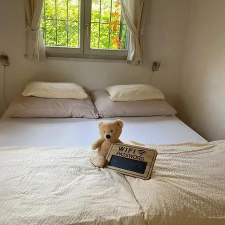 Mini Haus Mit Pergola -nl-00000196